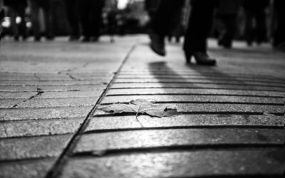 Organizacijos, teikiančios smurtą artimoje aplinkoje patyrusiems asmenims pagalbą, Šiaulių regione